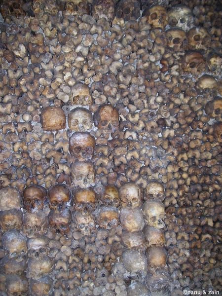 Skulls & bones - Catacombs - Paris
