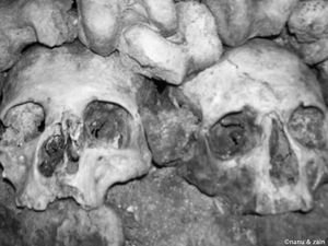 Skulls - Catacombs - Paris