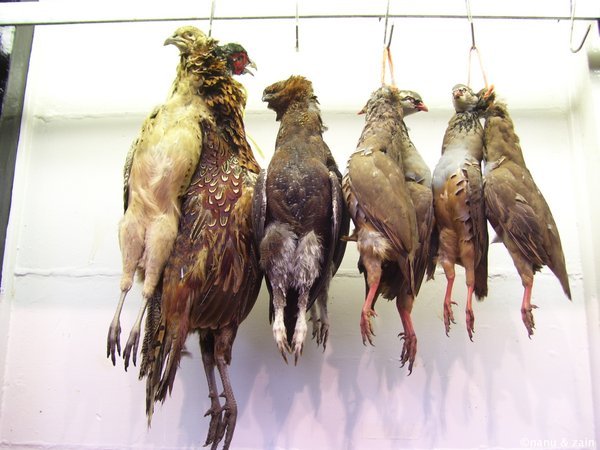Game birds at a butcher's shop - Covered Market - Oxford