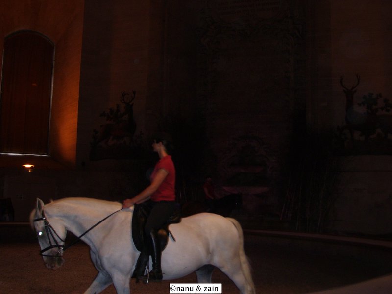 The famous horse show - Hippodrome de Chantilly