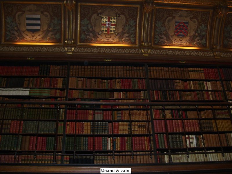 The library - Château de Chantilly