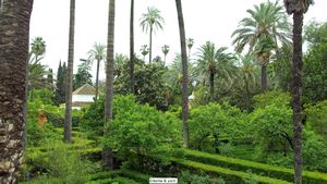 Gardens of the Alcazar