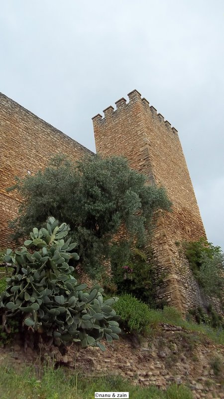 A part of fortress wall