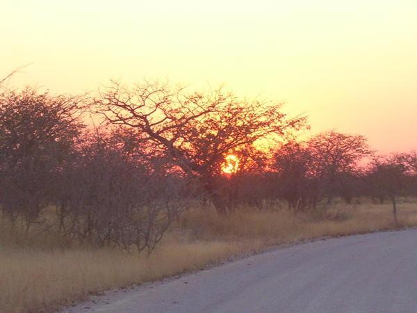 Sunrise - Etosha National Park