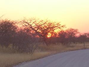 Sunrise - Etosha National Park