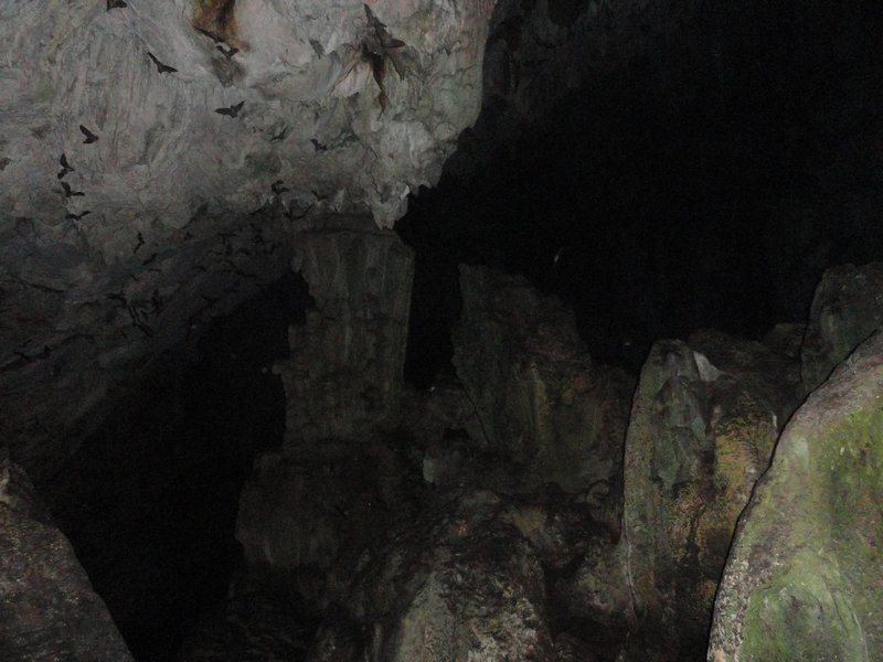 Inside the Bat Cave!