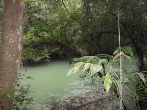 the river next to the Bat Cave in Lanquin