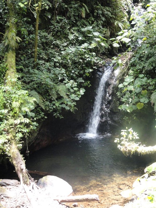 Waterfall in Monte Verde Preserve