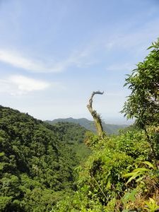 Monte Verde Preserve