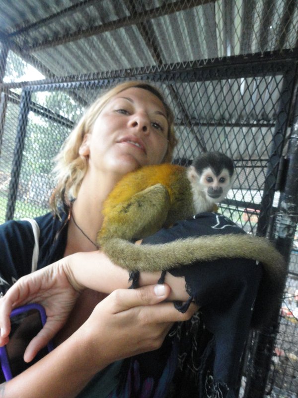 Monkeying around at the animal rescue center