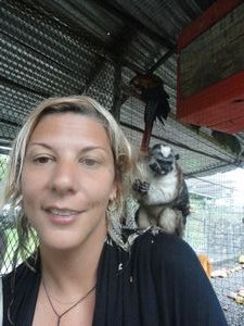 Monkeying around at the animal rescue center