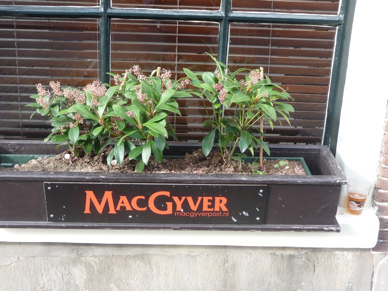 MacGyver plants?