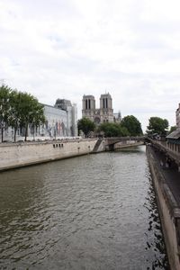 Seine with Notre Dame
