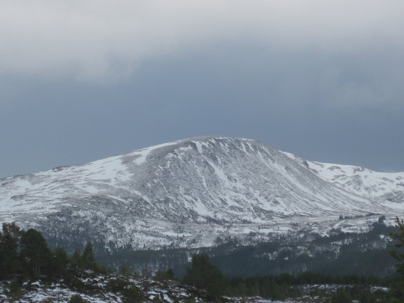 Fagerfjellet