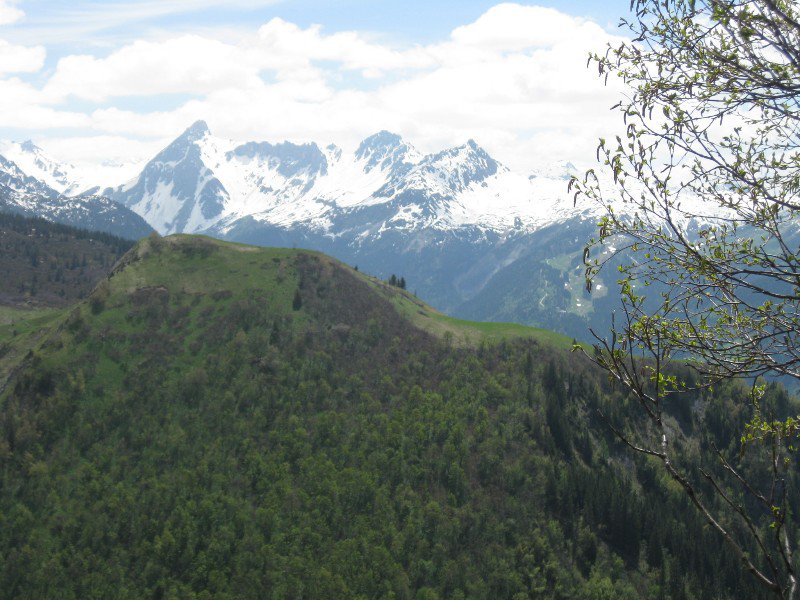 Mont Truc