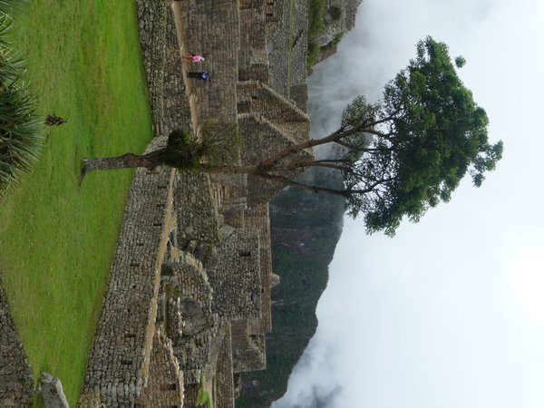 17 Machu Picchu 157