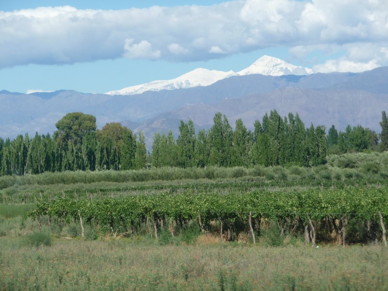 5 Outskirts of Mendoza