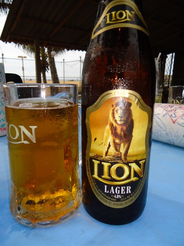 Lion Lager not bad!