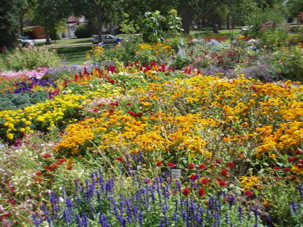 Great Falls Garden in Bloom.