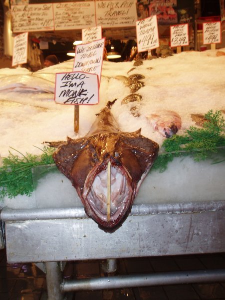 That is one Ugly Monk Fish