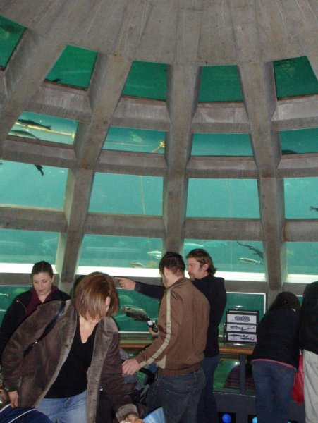 The Aquarium Room