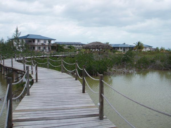 The Bridge to the Island School