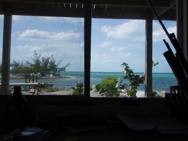 The view from the Math Office.