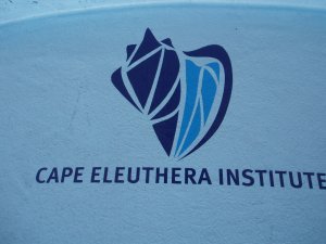 CEI's logo