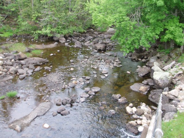 Brook below a dam