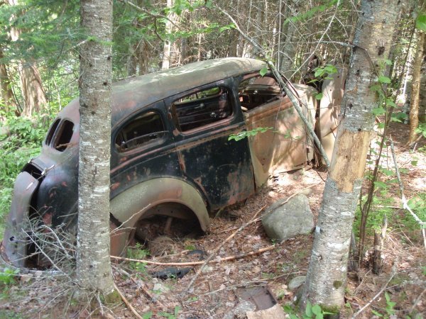 Ol truck in the woods