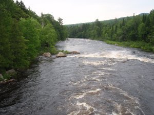 Rapids down stream from the Rapids on the Moose