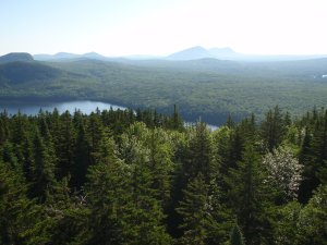 View from the Firetower on Kineo