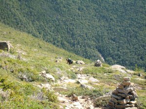 2008-08 Bondcliff hike (151)