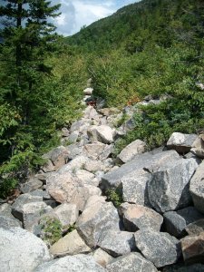 2008-08 Bondcliff hike (35)