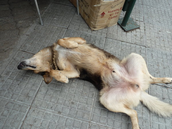 We´re a bit more relaxed here in Montevideo 