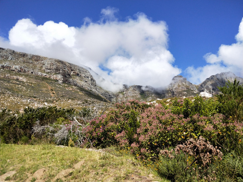 Clouds, mountains, blue sky. Hout Bay