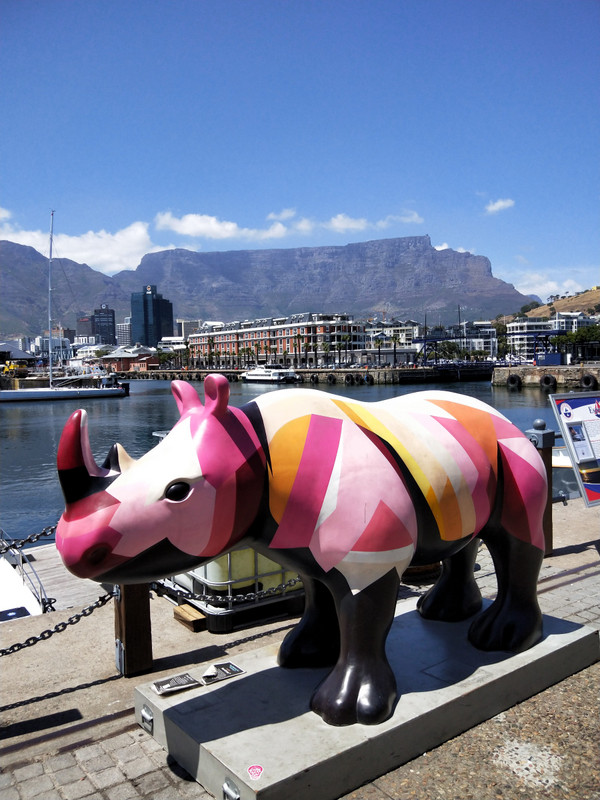 Rhino at the V&A shopping area along the water front in Cape Town 