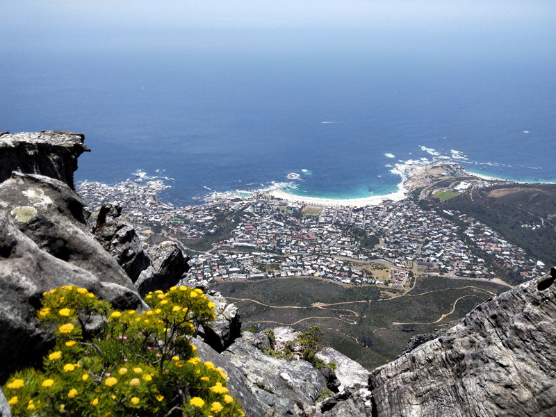 Camp's Bay from Table Mountain 