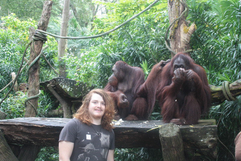 Nic and Orangutans