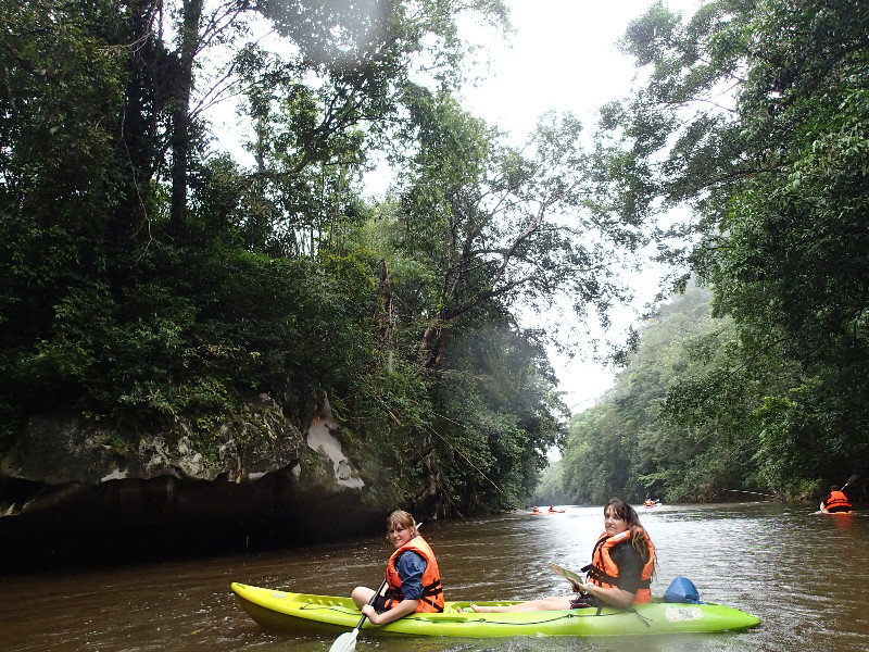 Rainforest Kayaking
