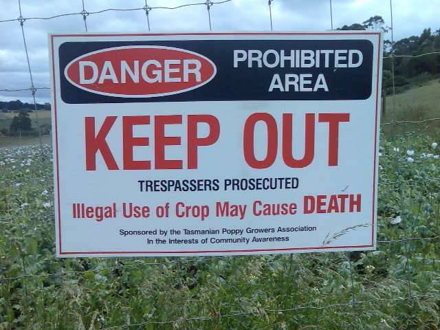Warning signs on poppy crop