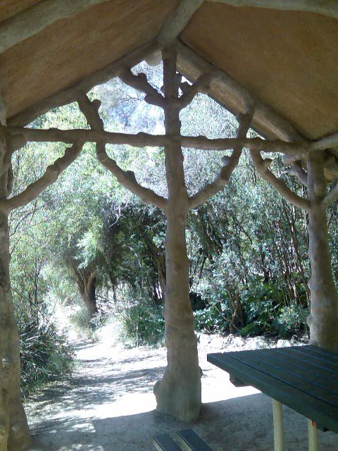 Picnic shelter with concrete "trees" Cataract Gorge