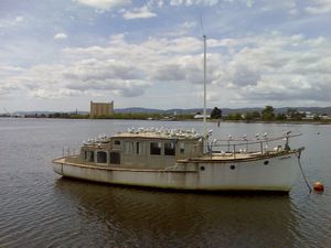 Tamar River cruise