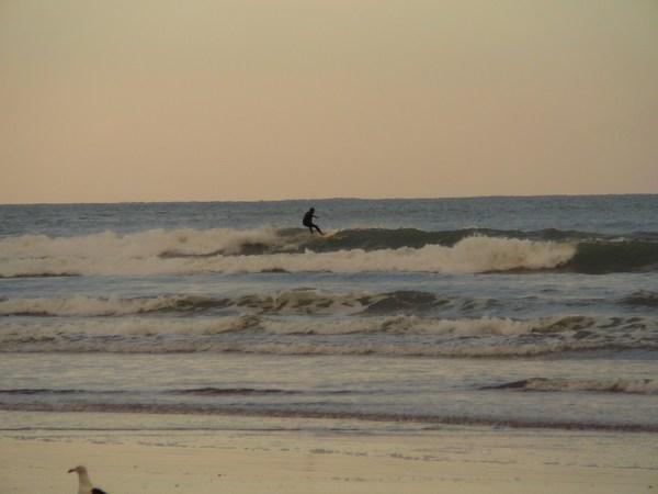 mini-Surfer @ Shipwrecks