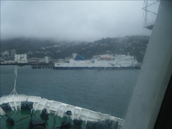 Wellington harbor