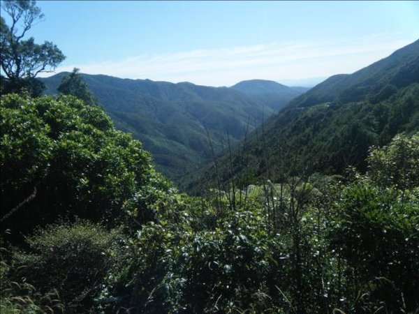 Rimutaka Hills