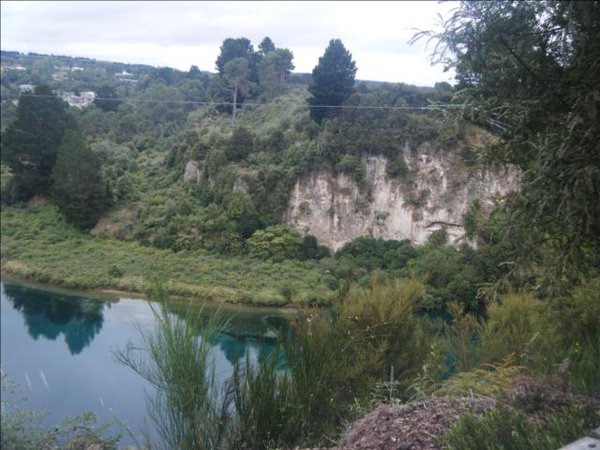 Another Waikato gorge picture