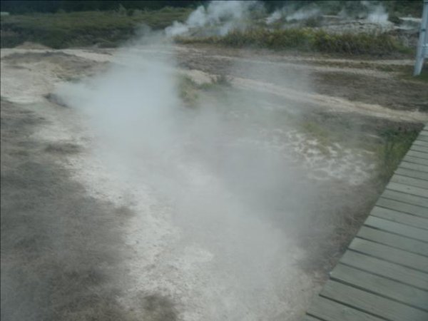 Steam from the ground