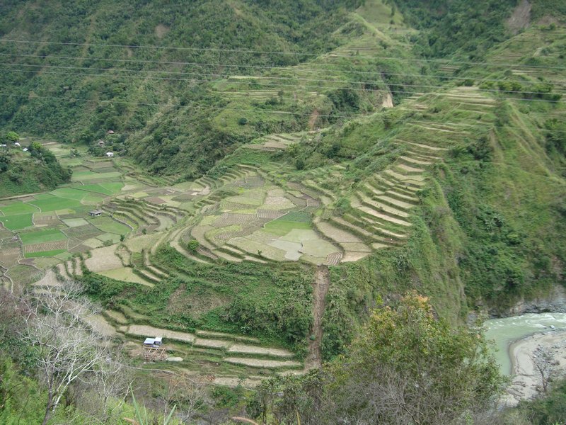beautifull Rice Terraces built many many years ago