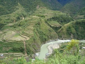 Rice terraces 